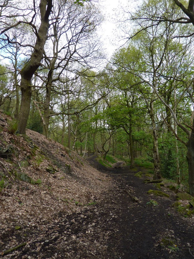 Calderdale Walk